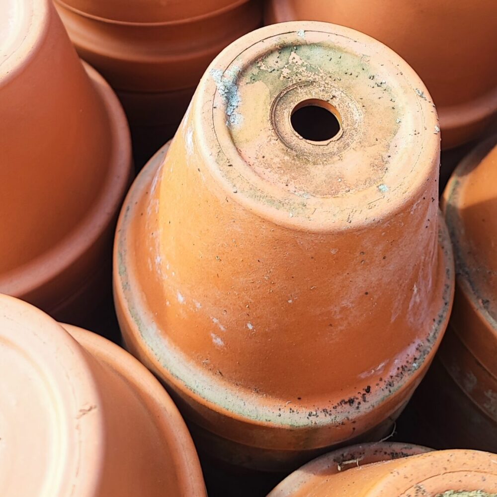 Vaso Standard produttori vasi in terracotta toscana fatti a mano vasi di terracotta grandi vaso terracotte vasi artigianali made in italy grande vaso di terracotta artigianale fornace terracotta fabbrica di vasi da esterno fabbrica di terrecotte