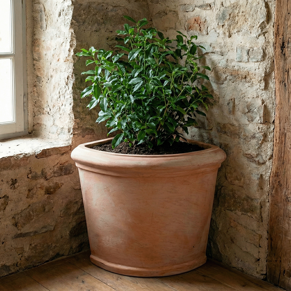 Angolare Angolo liscio produttori vasi in terracotta toscana fatti a mano vasi di terracotta grandi vaso terracotte vasi artigianali made in italy grande vaso di terracotta artigianale fornace terracotta fabbrica di vasi da esterno fabbrica di terrecotte