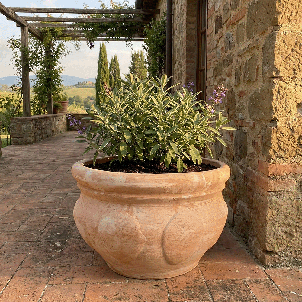 Cachepot con Borchie produttori vasi in terracotta toscana fatti a mano vasi di terracotta grandi vaso terracotte vasi artigianali made in italy grande vaso di terracotta artigianale fornace terracotta fabbrica di vasi da esterno fabbrica di terrecotte