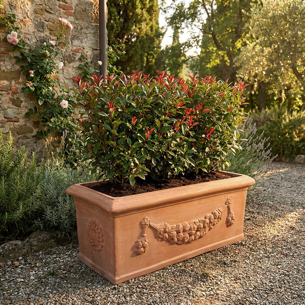 cassetta fioriera festonata produttori vasi in terracotta toscana fatti a mano vasi di terracotta grandi vaso terracotte vasi artigianali made in italy grande vaso di terracotta artigianale fornace terracotta fabbrica di vasi da esterno fabbrica di terrecotte