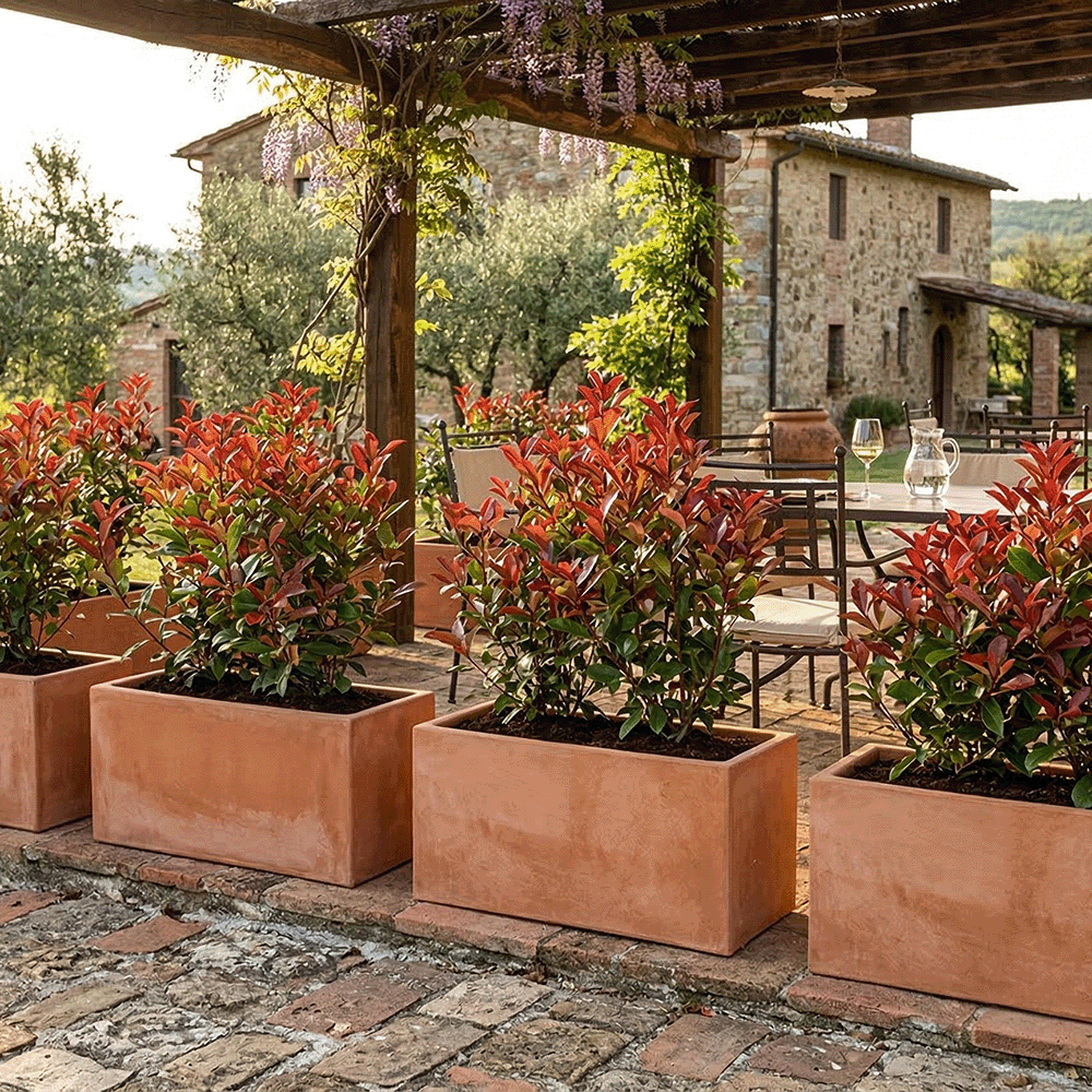 Cassetta Liscia Minimal Minimale Moderna produttori vasi in terracotta toscana fatti a mano vasi di terracotta grandi vaso terracotte vasi artigianali made in italy grande vaso di terracotta artigianale fornace terracotta fabbrica di vasi da esterno fabbrica di terrecotte