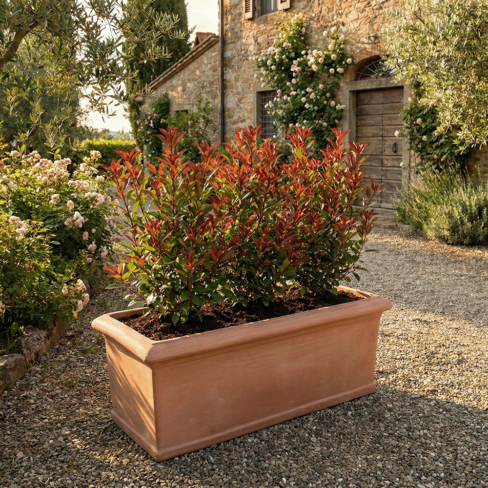 cassetta liscia produttori vasi in terracotta toscana fatti a mano vasi di terracotta grandi vaso terracotte vasi artigianali made in italy grande vaso di terracotta artigianale fornace terracotta fabbrica di vasi da esterno fabbrica di terrecotte