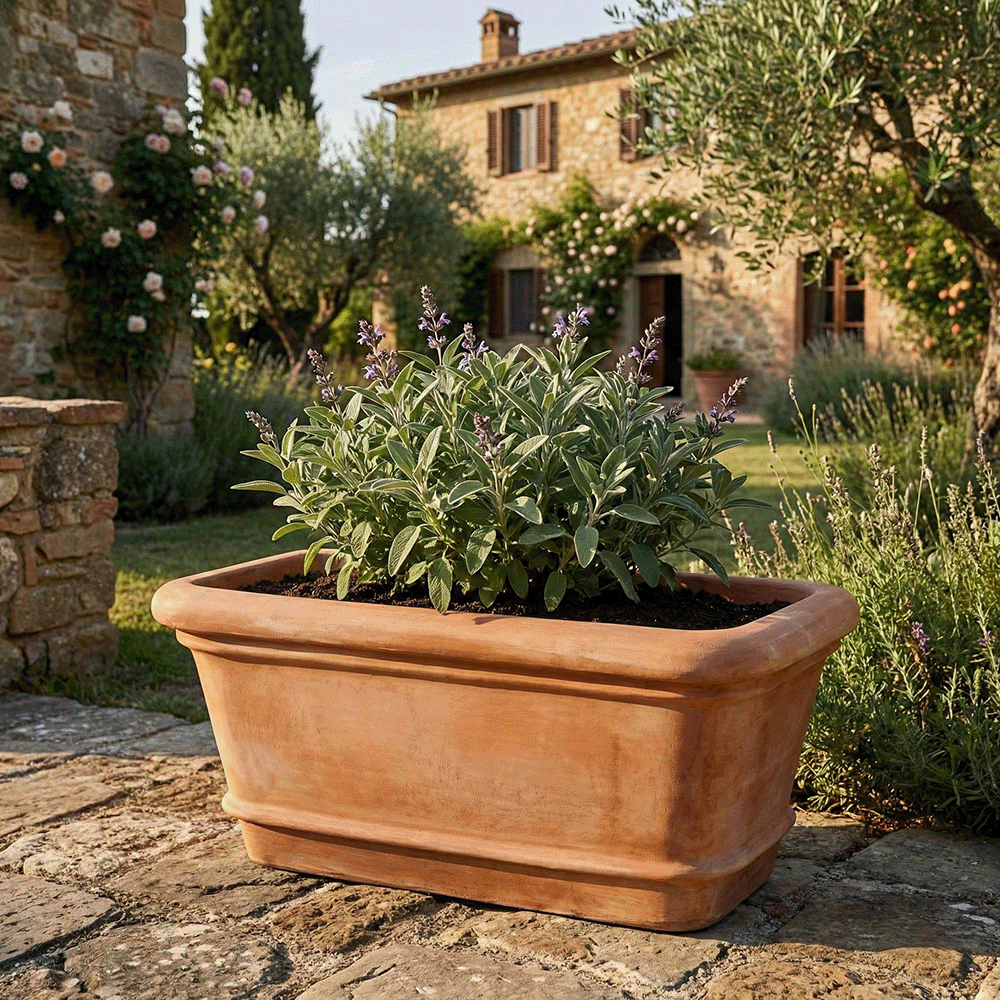 Cassetta Svasata Liscia produttori vasi in terracotta toscana fatti a mano vasi di terracotta grandi vaso terracotte vasi artigianali made in italy grande vaso di terracotta artigianale fornace terracotta fabbrica di vasi da esterno fabbrica di terrecotte