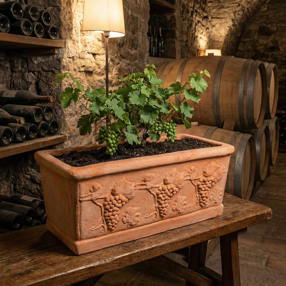 Cassetta Uva produttori vasi in terracotta toscana fatti a mano vasi di terracotta grandi vaso terracotte vasi artigianali made in italy grande vaso di terracotta artigianale fornace terracotta fabbrica di vasi da esterno fabbrica di terrecotte