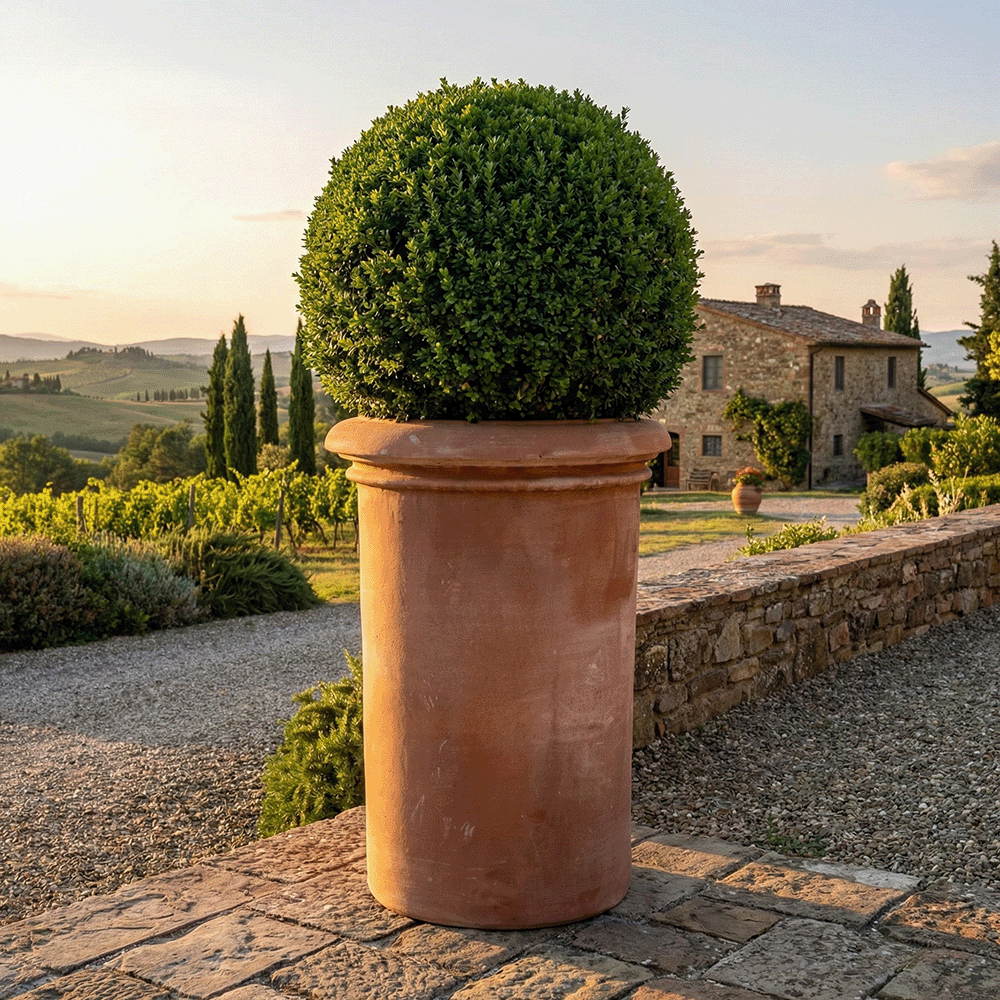 Cilindro Liscio Alto produttori vasi in terracotta toscana fatti a mano vasi di terracotta grandi vaso terracotte vasi artigianali made in italy grande vaso di terracotta artigianale fornace terracotta fabbrica di vasi da esterno fabbrica di terrecotte