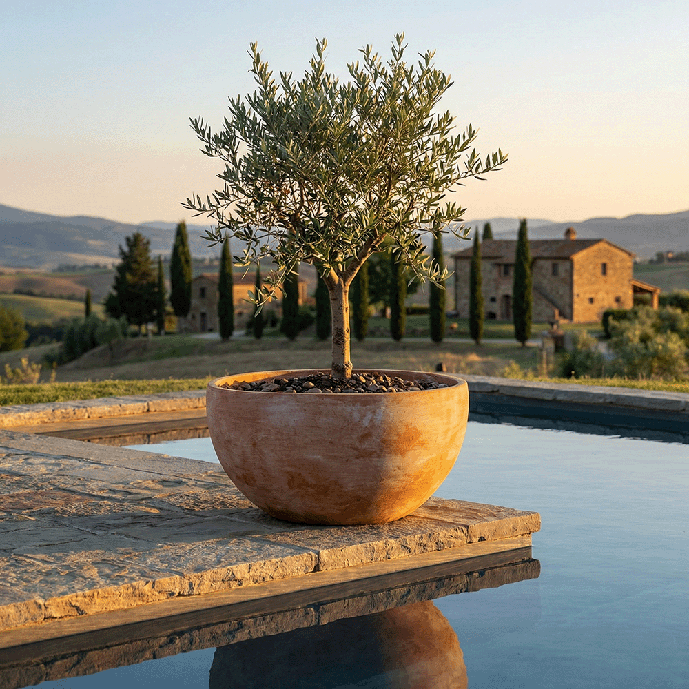 Ciotola Moderna produttori vasi in terracotta toscana fatti a mano vasi di terracotta grandi vaso terracotte vasi artigianali made in italy grande vaso di terracotta artigianale fornace terracotta fabbrica di vasi da esterno fabbrica di terrecotte