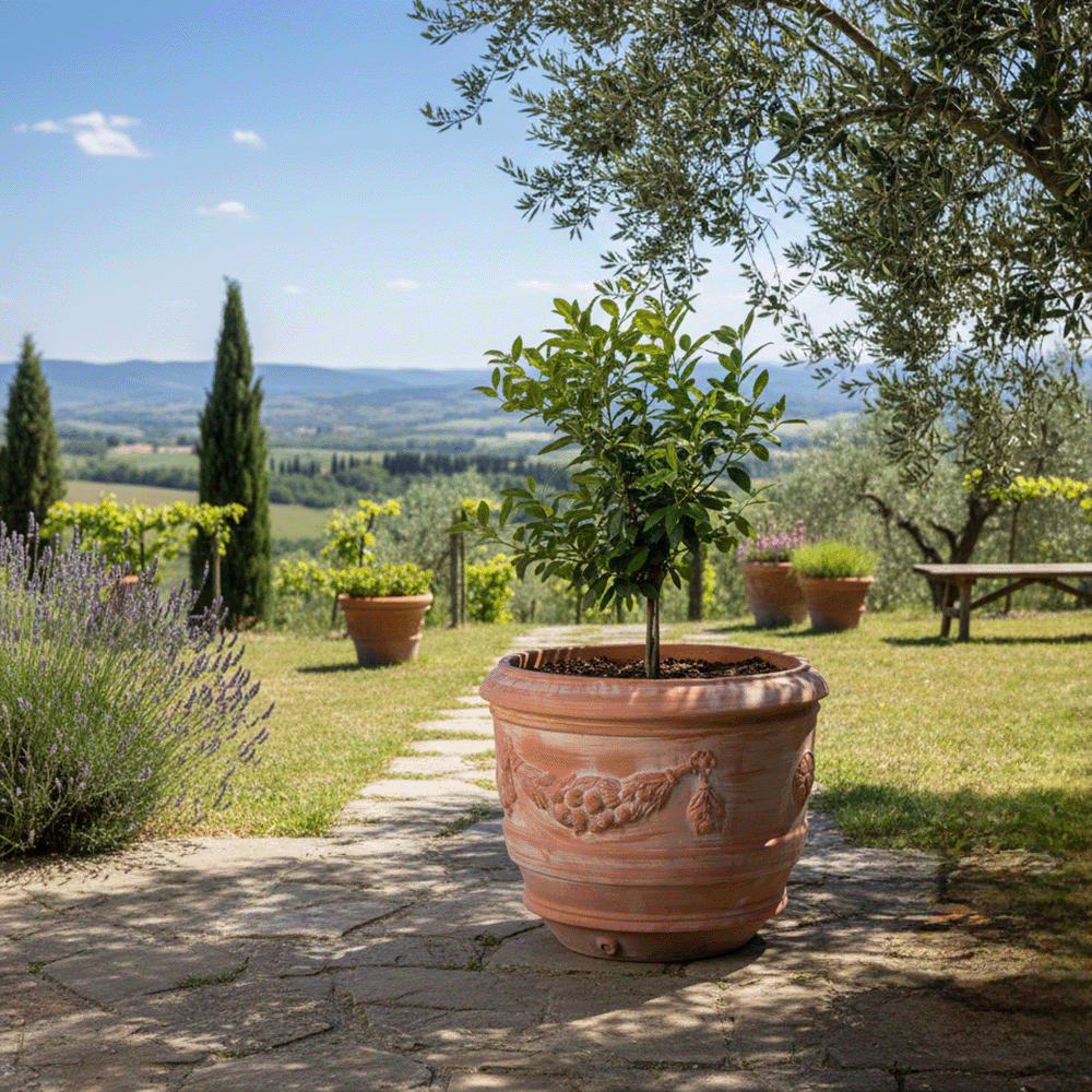Conca Toscana Festonata produttori vasi in terracotta toscana fatti a mano vasi di terracotta grandi vaso terracotte vasi artigianali made in italy grande vaso di terracotta artigianale fornace terracotta fabbrica di vasi da esterno fabbrica di terrecotte