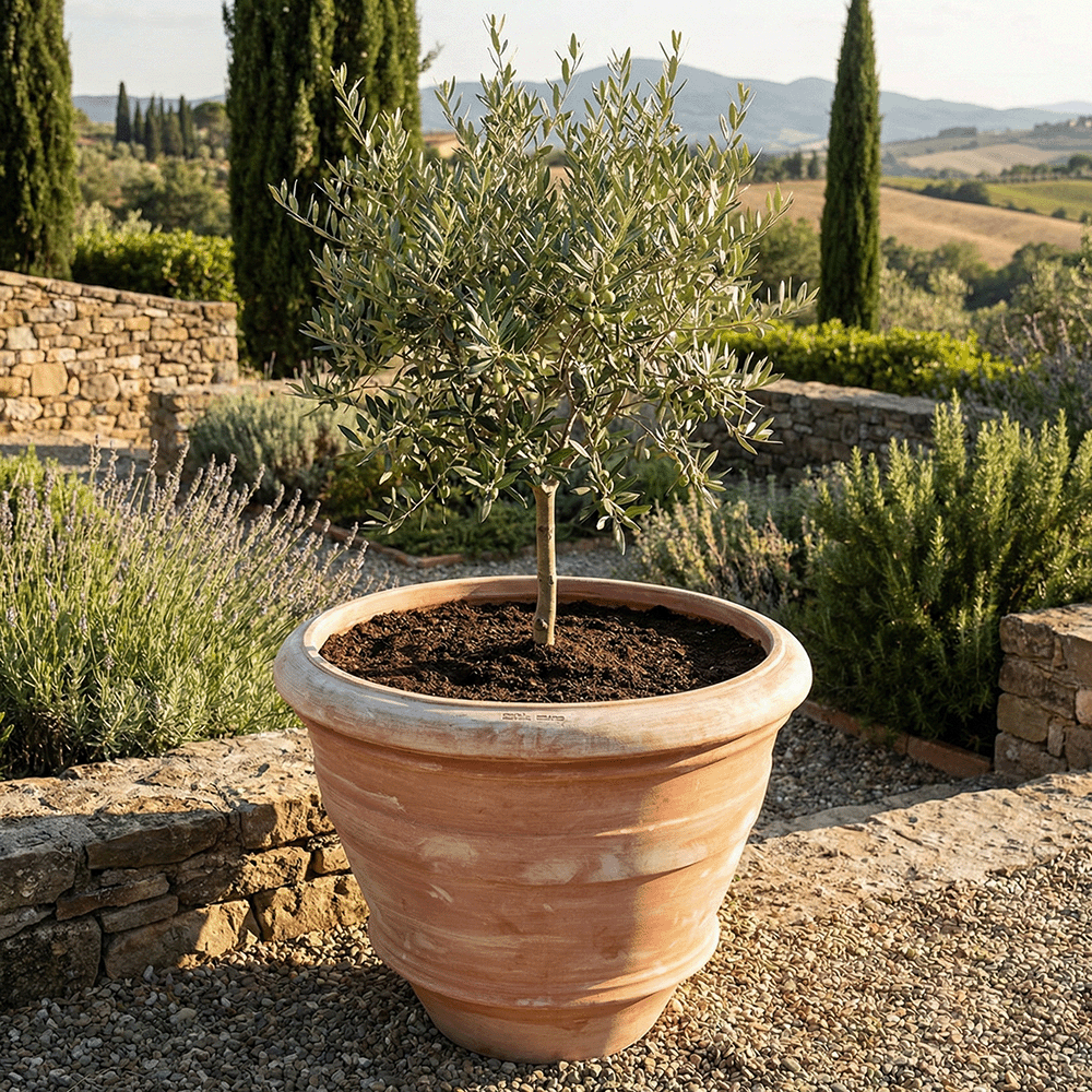 Conca Toscana Grande liscia produttori vasi in terracotta toscana fatti a mano vasi di terracotta grandi vaso terracotte vasi artigianali made in italy grande vaso di terracotta artigianale fornace terracotta fabbrica di vasi da esterno fabbrica di terrecotte