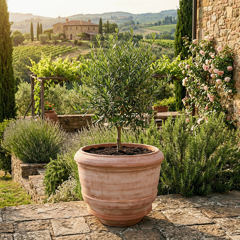 Conca Toscana Liscia produttori vasi in terracotta toscana fatti a mano vasi di terracotta grandi vaso terracotte vasi artigianali made in italy grande vaso di terracotta artigianale fornace terracotta fabbrica di vasi da esterno fabbrica di terrecotte