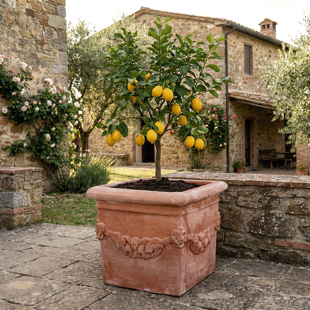 Cubo Festonato produttori vasi in terracotta toscana fatti a mano vasi di terracotta grandi vaso terracotte vasi artigianali made in italy grande vaso di terracotta artigianale fornace terracotta fabbrica di vasi da esterno fabbrica di terrecotte