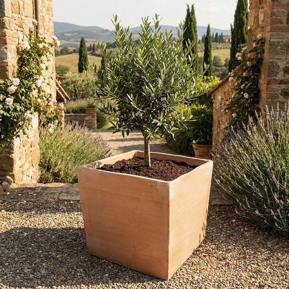 Cubo Liscio Moderno in terracotta da colonna festonato produttori vasi in terracotta toscana fatti a mano vasi di terracotta grandi vaso terracotte vasi artigianali made in italy grande vaso di terracotta artigianale fornace terracotta fabbrica di vasi da esterno fabbrica di terrecotte