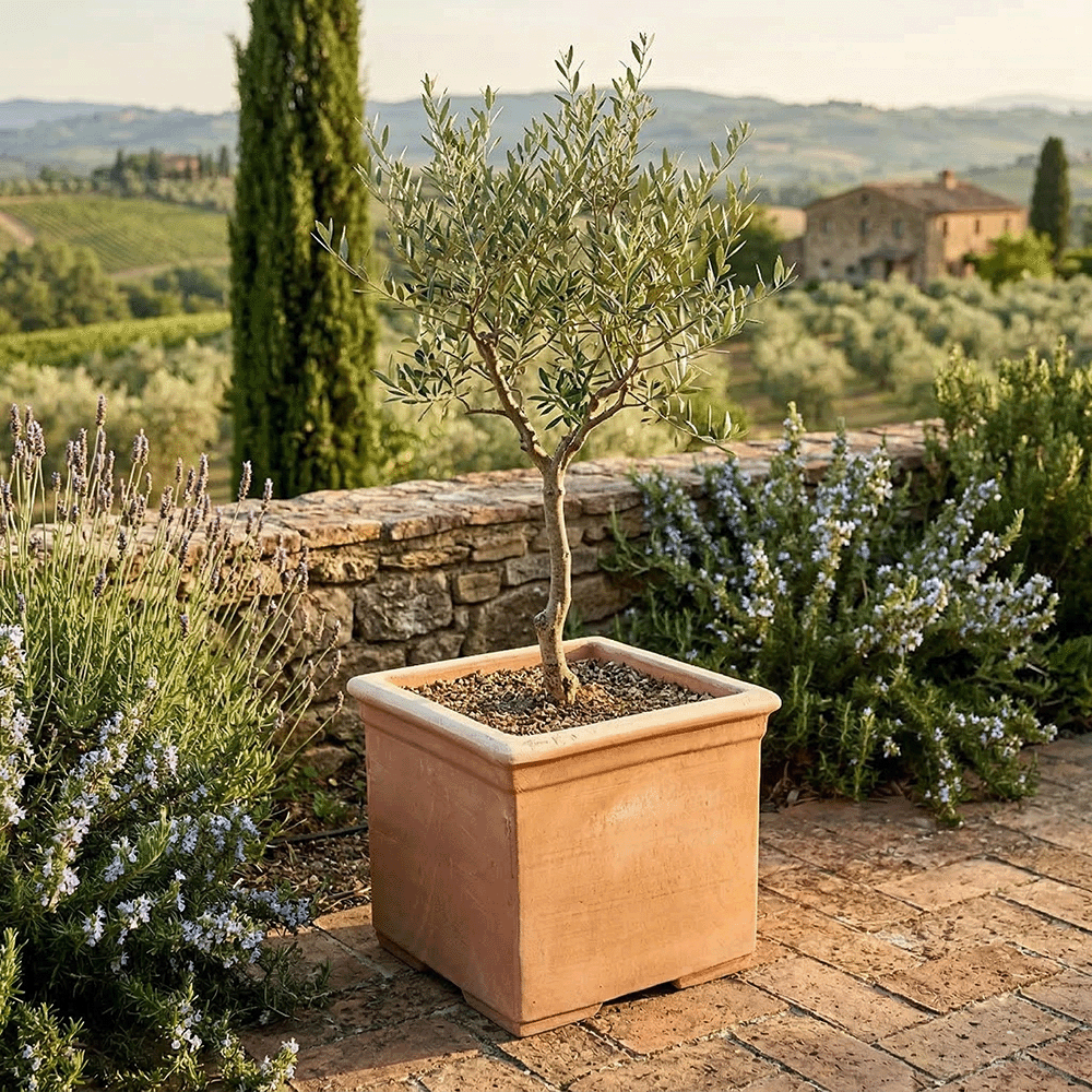 Cubo Liscio con piedini produttori vasi in terracotta toscana fatti a mano vasi di terracotta grandi vaso terracotte vasi artigianali made in italy grande vaso di terracotta artigianale fornace terracotta fabbrica di vasi da esterno fabbrica di terrecotte