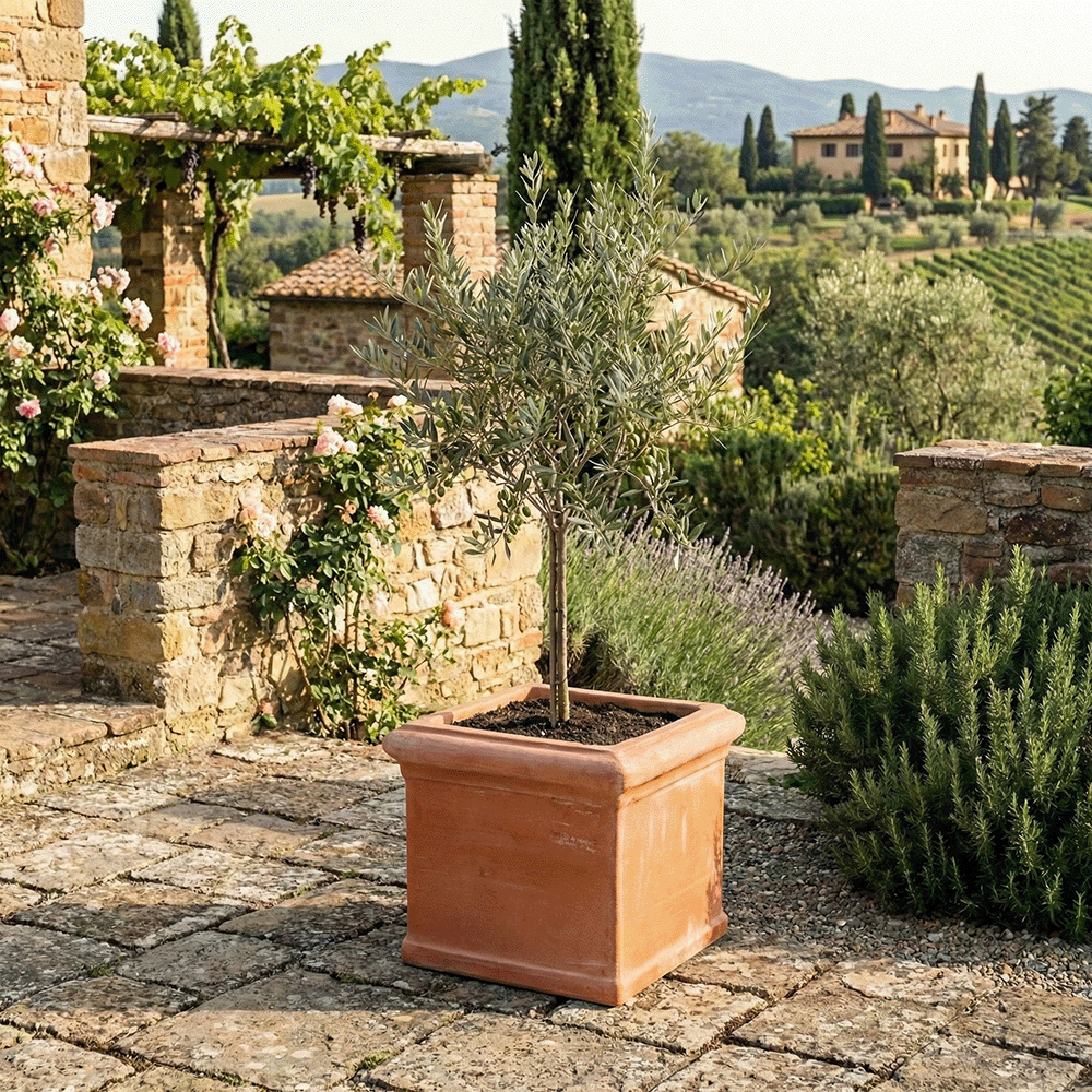 Cubo Liscio produttori vasi in terracotta toscana fatti a mano vasi di terracotta grandi vaso terracotte vasi artigianali made in italy grande vaso di terracotta artigianale fornace terracotta fabbrica di vasi da esterno fabbrica di terrecotte