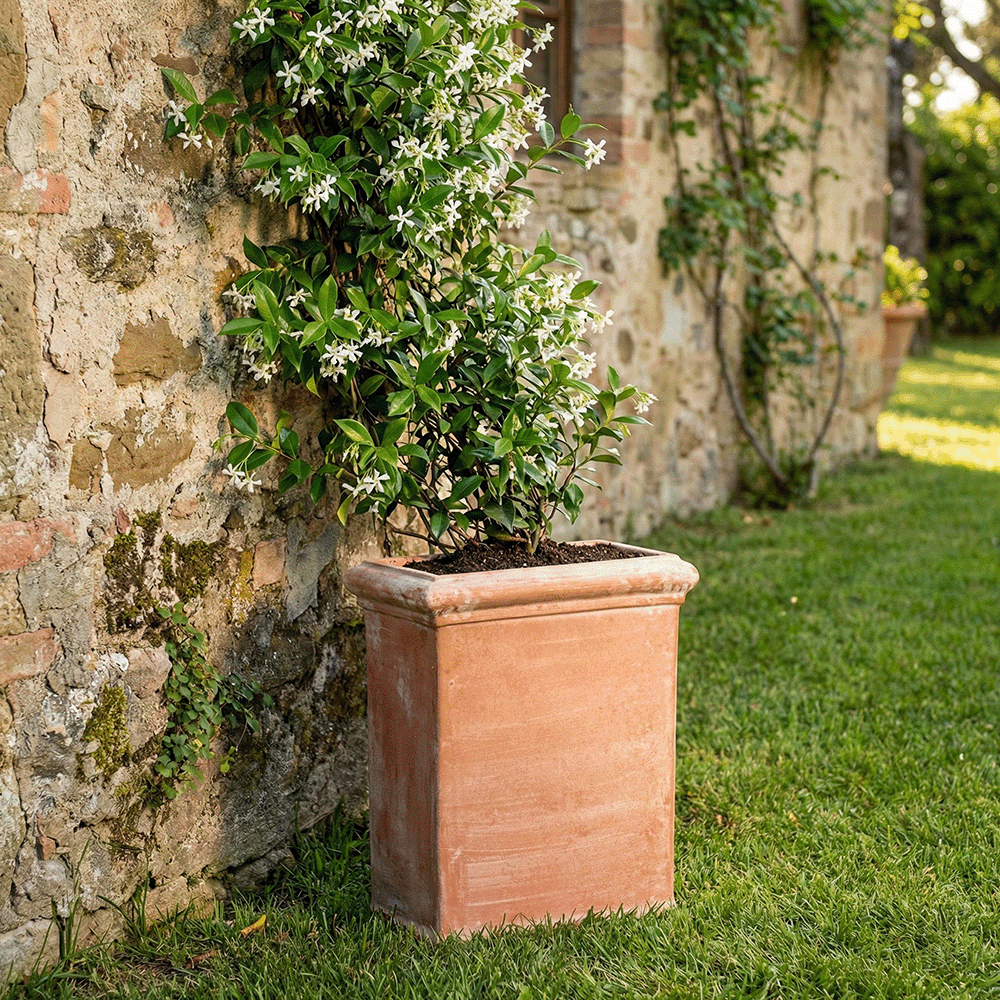 Mezzo Pilone Liscio produttori vasi in terracotta toscana fatti a mano vasi di terracotta grandi vaso terracotte vasi artigianali made in italy grande vaso di terracotta artigianale fornace terracotta fabbrica di vasi da esterno fabbrica di terrecotte