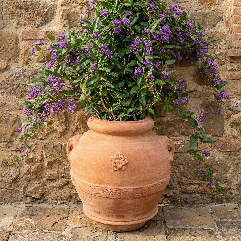 Orcio Toscano a Muro produttori vasi in terracotta toscana fatti a mano vasi di terracotta grandi vaso terracotte vasi artigianali made in italy grande vaso di terracotta artigianale fornace terracotta fabbrica di vasi da esterno fabbrica di terrecotte