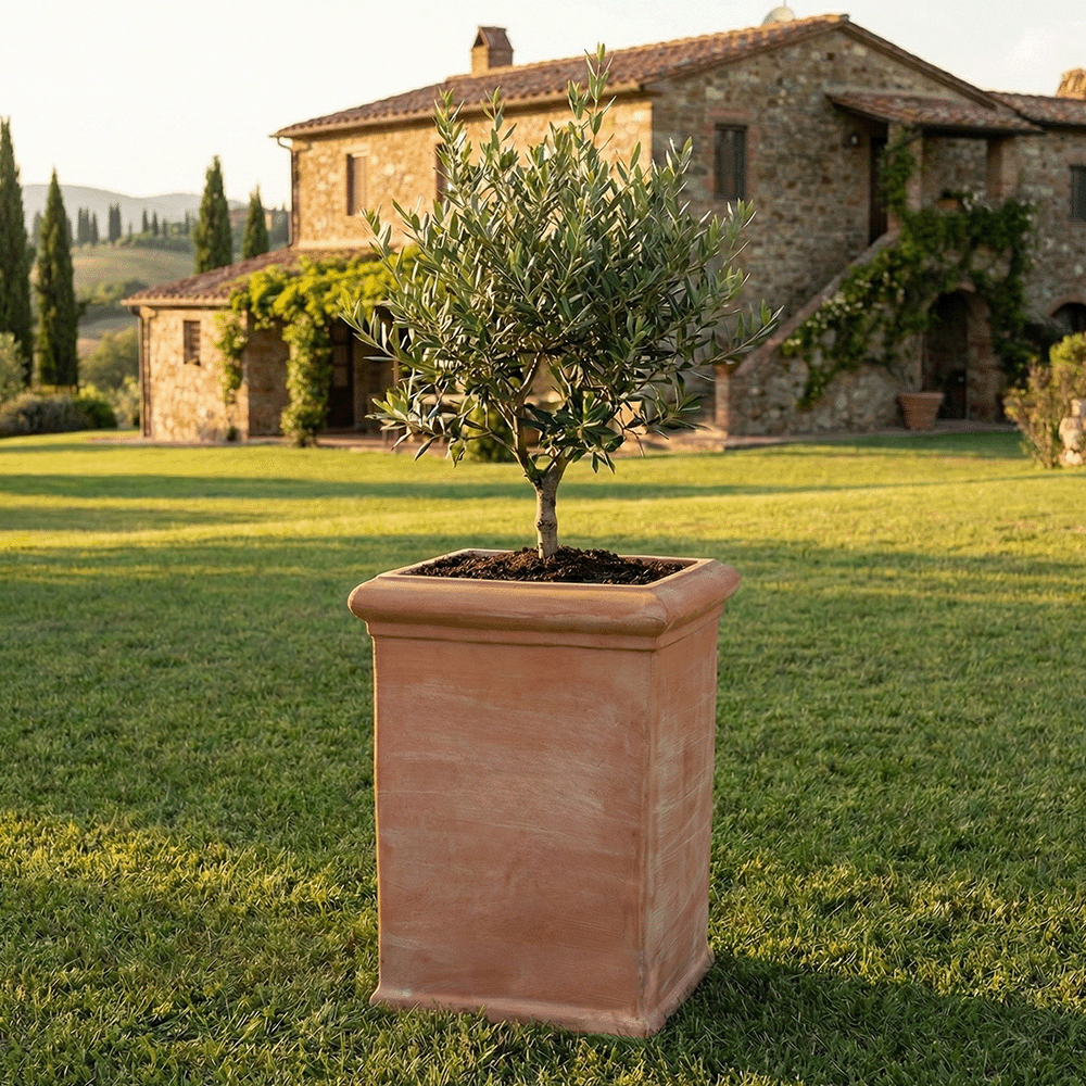 Pilone Liscio produttori vasi in terracotta toscana fatti a mano vasi di terracotta grandi vaso terracotte vasi artigianali made in italy grande vaso di terracotta artigianale fornace terracotta fabbrica di vasi da esterno fabbrica di terrecotte