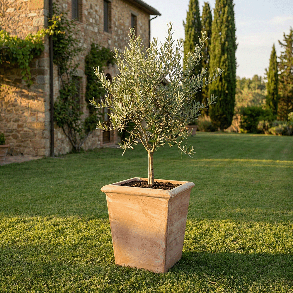 Pilone Liscio Svasato produttori vasi in terracotta toscana fatti a mano vasi di terracotta grandi vaso terracotte vasi artigianali made in italy grande vaso di terracotta artigianale fornace terracotta fabbrica di vasi da esterno fabbrica di terrecotte