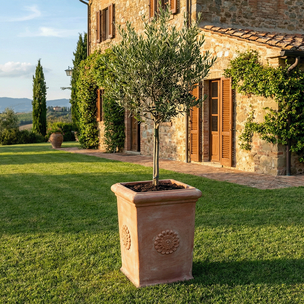 Pilone Rosetta produttori vasi in terracotta toscana fatti a mano vasi di terracotta grandi vaso terracotte vasi artigianali made in italy grande vaso di terracotta artigianale fornace terracotta fabbrica di vasi da esterno fabbrica di terrecotte