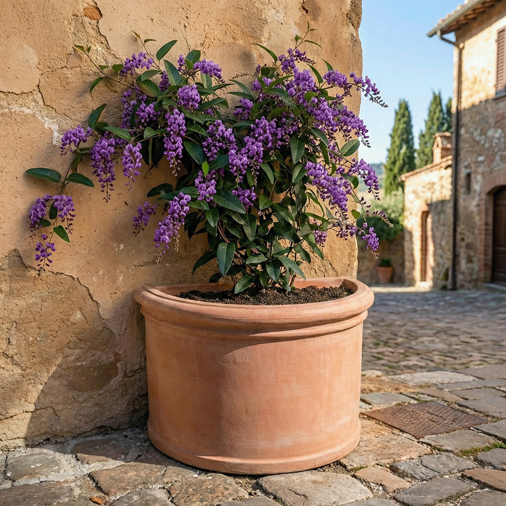 Semicerchio basso festonato produttori vasi in terracotta toscana fatti a mano vasi di terracotta grandi vaso terracotte vasi artigianali made in italy grande vaso di terracotta artigianale fornace terracotta fabbrica di vasi da esterno fabbrica di terrecotte