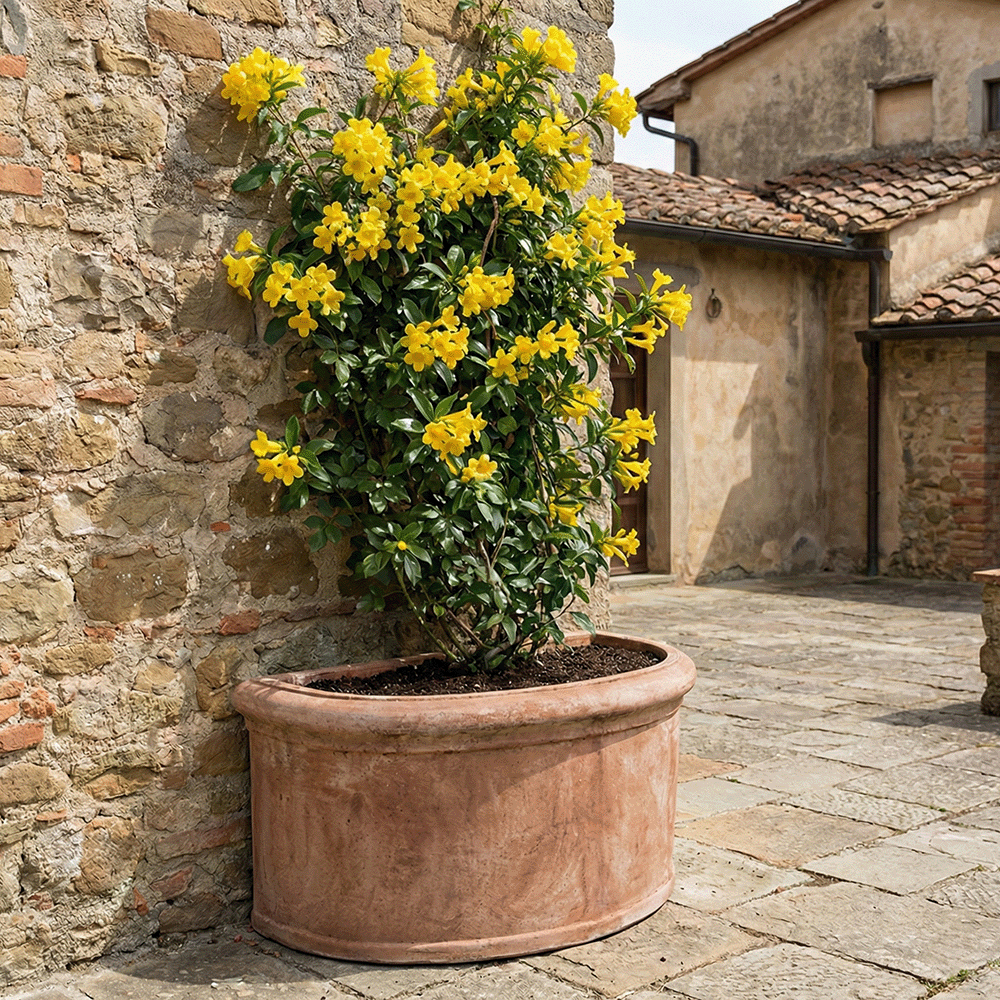 Semicerchio Largo Liscio produttori vasi in terracotta toscana fatti a mano vasi di terracotta grandi vaso terracotte vasi artigianali made in italy grande vaso di terracotta artigianale fornace terracotta fabbrica di vasi da esterno fabbrica di terrecotte