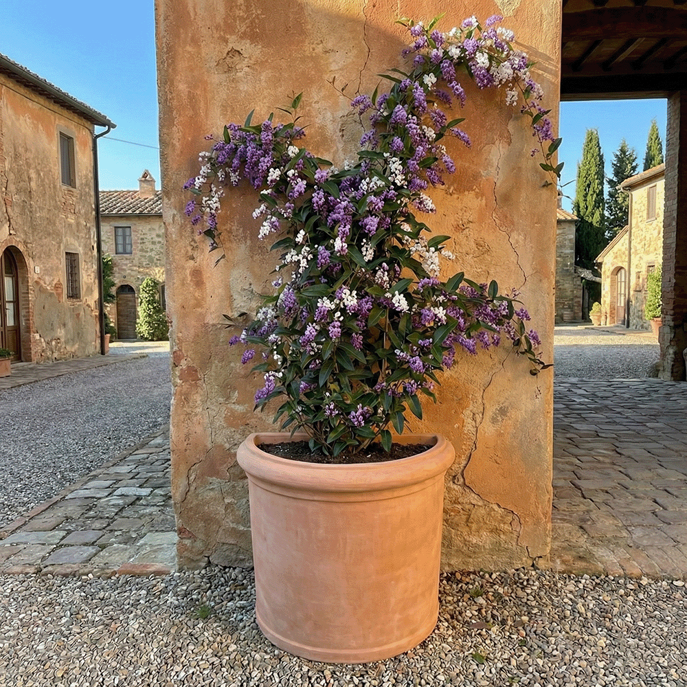 semicerchio liscio produttori vasi in terracotta toscana fatti a mano vasi di terracotta grandi vaso terracotte vasi artigianali made in italy grande vaso di terracotta artigianale fornace terracotta fabbrica di vasi da esterno fabbrica di terrecotte