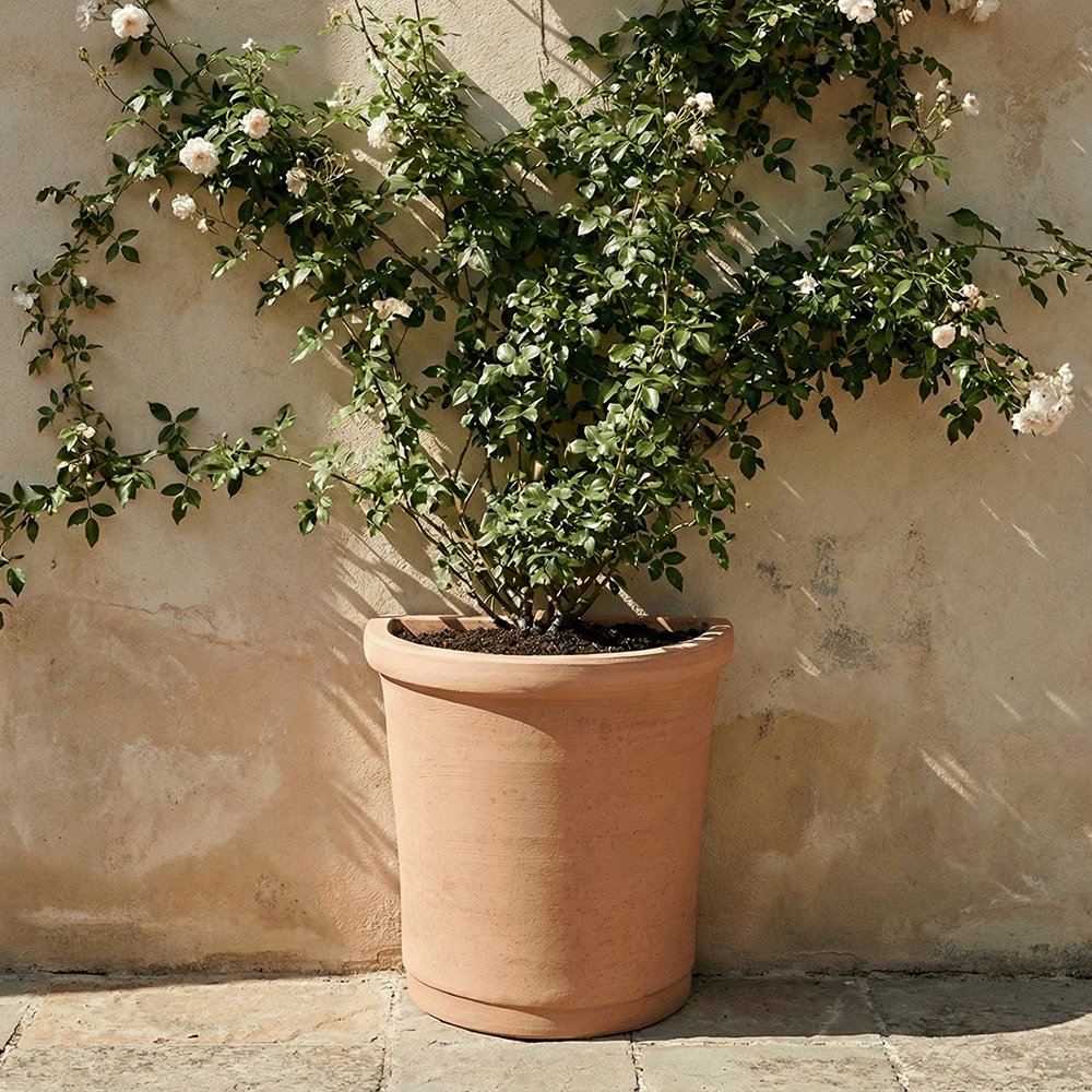 Semicerchio Salvaspazio produttori vasi in terracotta toscana fatti a mano vasi di terracotta grandi vaso terracotte vasi artigianali made in italy grande vaso di terracotta artigianale fornace terracotta fabbrica di vasi da esterno fabbrica di terrecotte