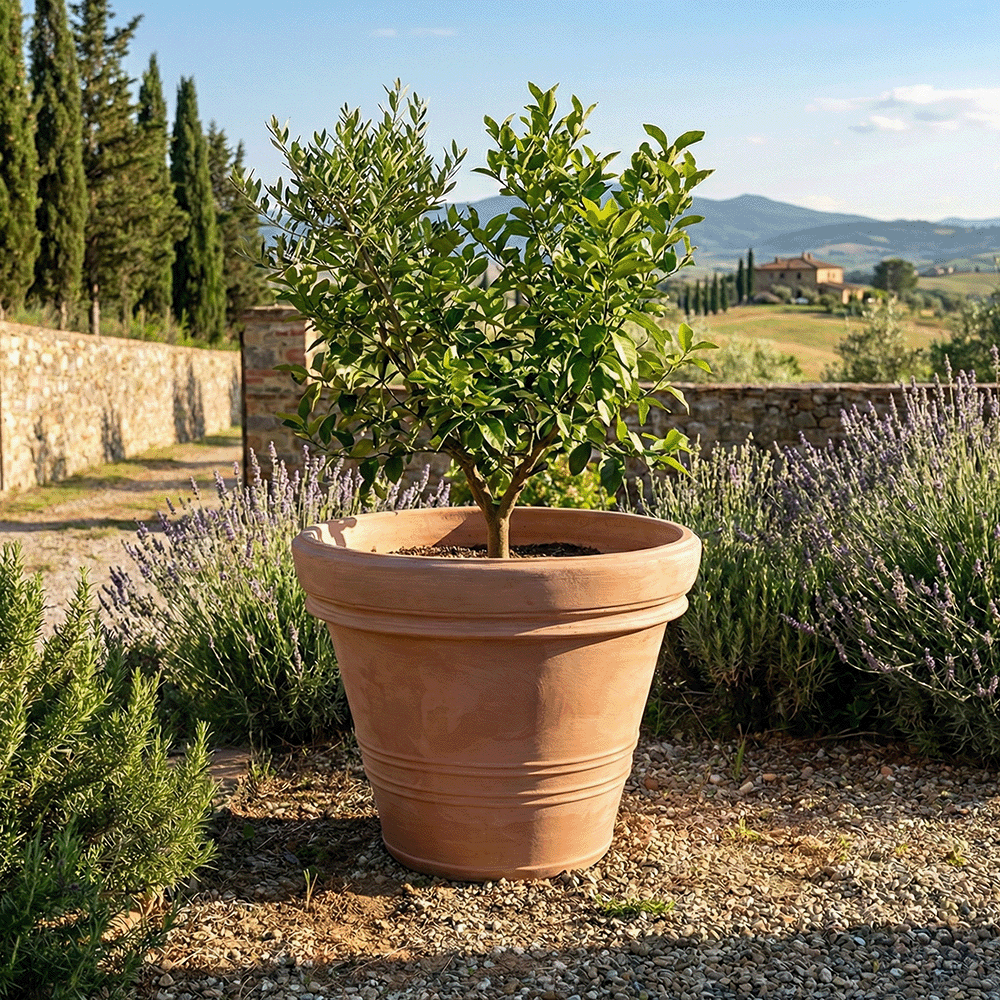 Vaso Doppio Bordo Liscio produttori vasi in terracotta toscana fatti a mano vasi di terracotta grandi vaso terracotte vasi artigianali made in italy grande vaso di terracotta artigianale fornace terracotta fabbrica di vasi da esterno fabbrica di terrecotte