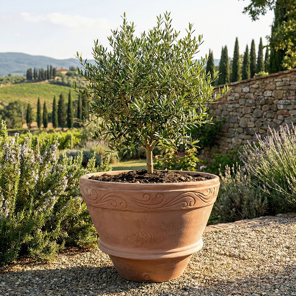 vaso mezzo orcio in terracotta produttori vasi in terracotta toscana fatti a mano vasi di terracotta grandi vaso terracotte vasi artigianali made in italy grande vaso di terracotta artigianale fornace terracotta fabbrica di vasi da esterno fabbrica di terrecotte