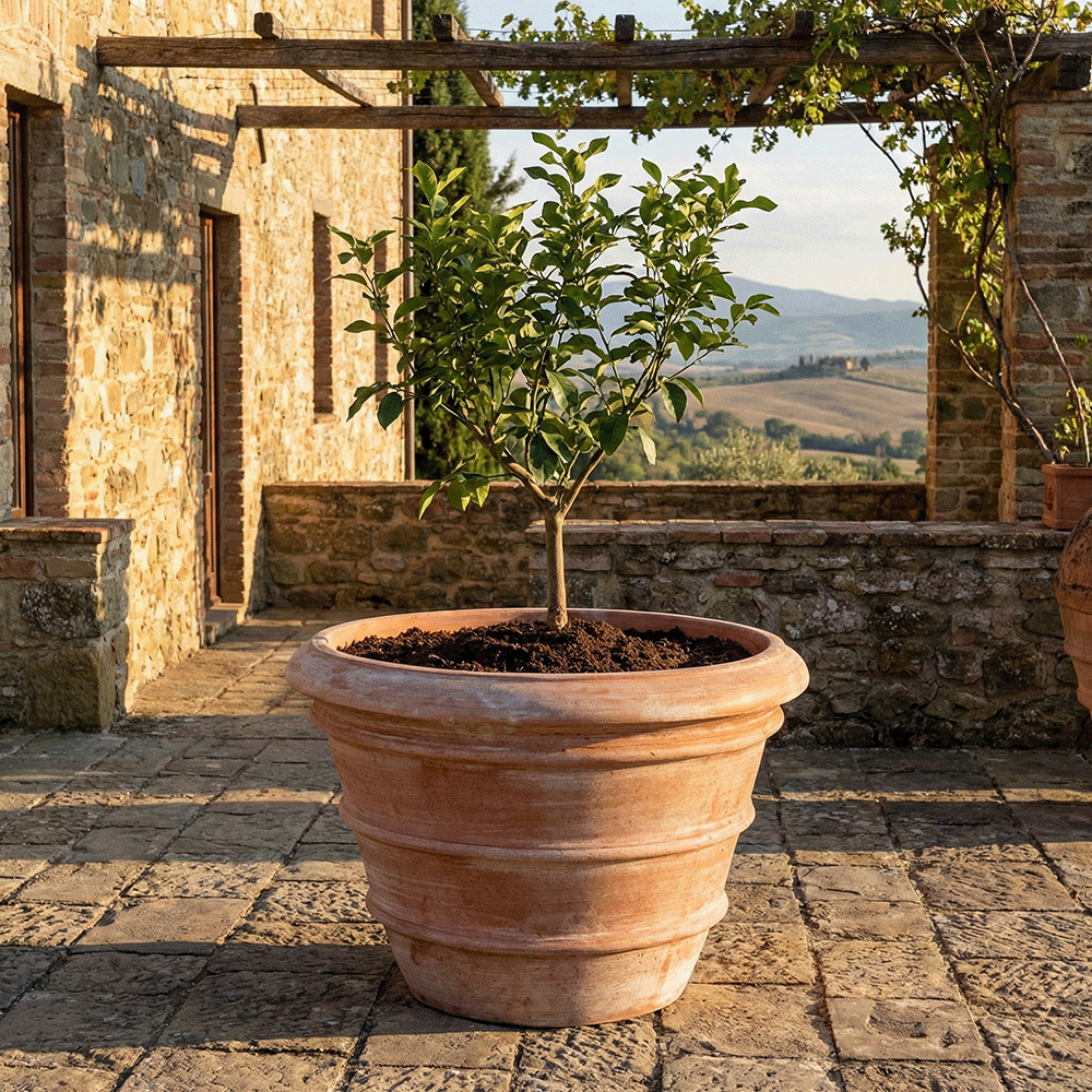 Vaso Toscano Liscio produttori vasi in terracotta toscana fatti a mano vasi di terracotta grandi vaso terracotte vasi artigianali made in italy grande vaso di terracotta artigianale fornace terracotta fabbrica di vasi da esterno fabbrica di terrecotte