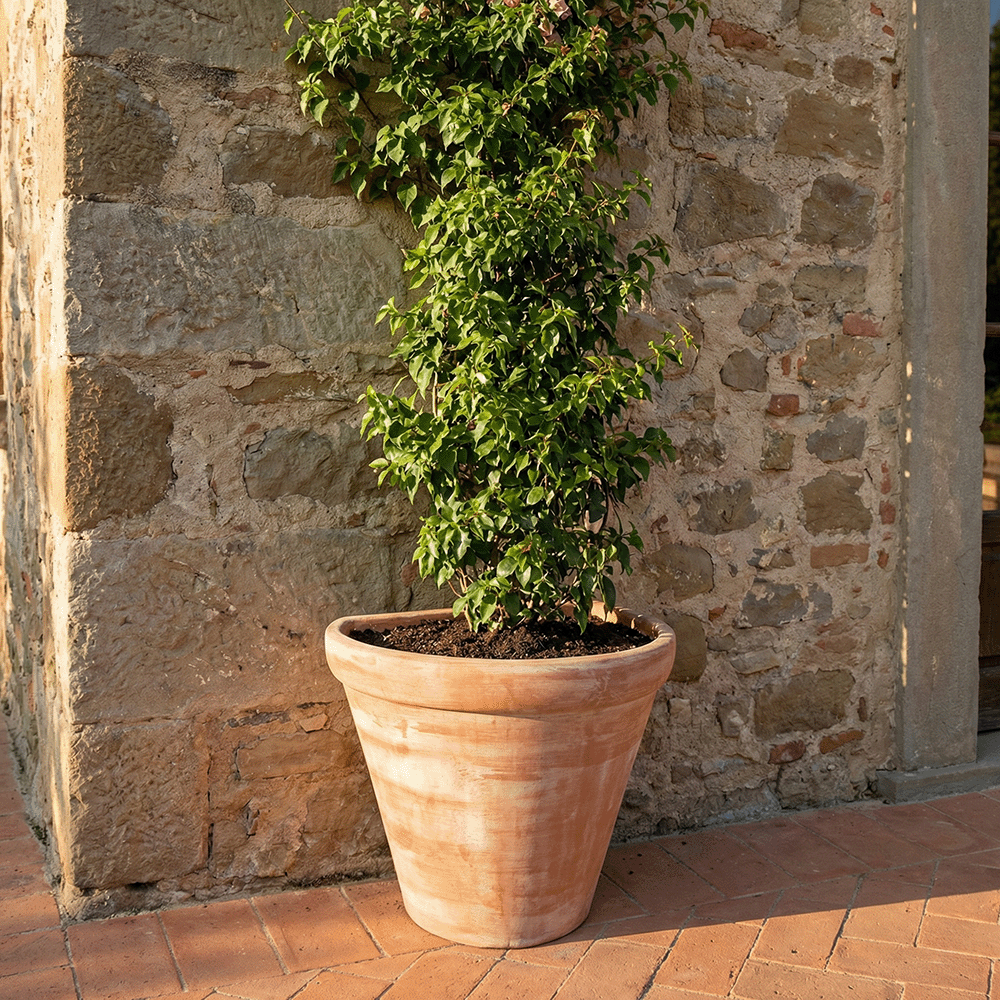 Vaso a Parete produttori vasi in terracotta toscana fatti a mano vasi di terracotta grandi vaso terracotte vasi artigianali made in italy grande vaso di terracotta artigianale fornace terracotta fabbrica di vasi da esterno fabbrica di terrecotte